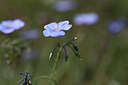 BUITEN BEELD Foto: 325750
