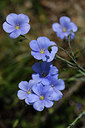 BUITEN BEELD Foto: 325760