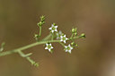 BUITEN BEELD Foto: 325780
