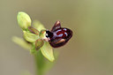 BUITEN BEELD Foto: 325804