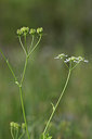 BUITEN BEELD Foto: 325811