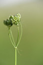 BUITEN BEELD Foto: 325813