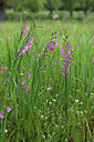 BUITEN BEELD Foto: 325815