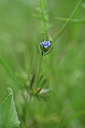 BUITEN BEELD Foto: 325820