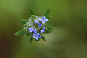BUITEN BEELD Foto: 325821