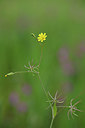 BUITEN BEELD Foto: 325825