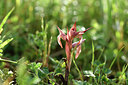 BUITEN BEELD Foto: 325832