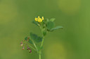 BUITEN BEELD Foto: 325840