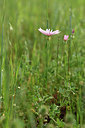 BUITEN BEELD Foto: 325842