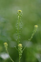 BUITEN BEELD Foto: 325853