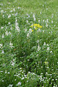 BUITEN BEELD Foto: 325856