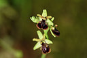 BUITEN BEELD Foto: 325868