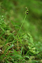 BUITEN BEELD Foto: 325871