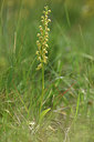 BUITEN BEELD Foto: 325872