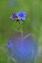 BUITEN BEELD Foto: 325880
