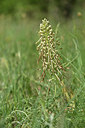 BUITEN BEELD Foto: 325882