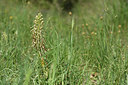 BUITEN BEELD Foto: 325885