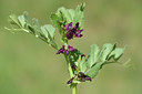 BUITEN BEELD Foto: 325886