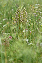 BUITEN BEELD Foto: 325924