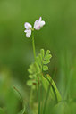 BUITEN BEELD Foto: 325954