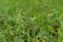 BUITEN BEELD Foto: 325955