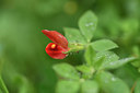 BUITEN BEELD Foto: 325959