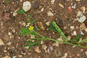 BUITEN BEELD Foto: 325971