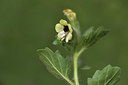 BUITEN BEELD Foto: 325982