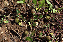 BUITEN BEELD Foto: 325988