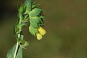 BUITEN BEELD Foto: 325989