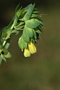 BUITEN BEELD Foto: 325990