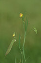 BUITEN BEELD Foto: 325994