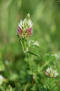 BUITEN BEELD Foto: 325996