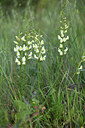 BUITEN BEELD Foto: 326001