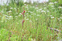 BUITEN BEELD Foto: 326004