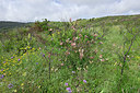 BUITEN BEELD Foto: 326011