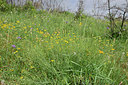 BUITEN BEELD Foto: 326012