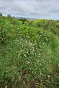 BUITEN BEELD Foto: 326015