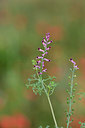 BUITEN BEELD Foto: 326028