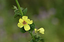 BUITEN BEELD Foto: 326036
