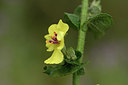 BUITEN BEELD Foto: 326037