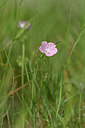 BUITEN BEELD Foto: 326041