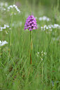 BUITEN BEELD Foto: 326043