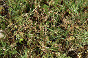 BUITEN BEELD Foto: 326048