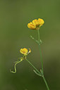 BUITEN BEELD Foto: 326049
