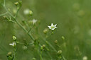 BUITEN BEELD Foto: 326050