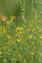 BUITEN BEELD Foto: 326053
