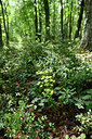 BUITEN BEELD Foto: 326056