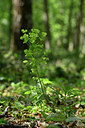 BUITEN BEELD Foto: 326057