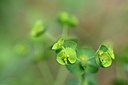 BUITEN BEELD Foto: 326063